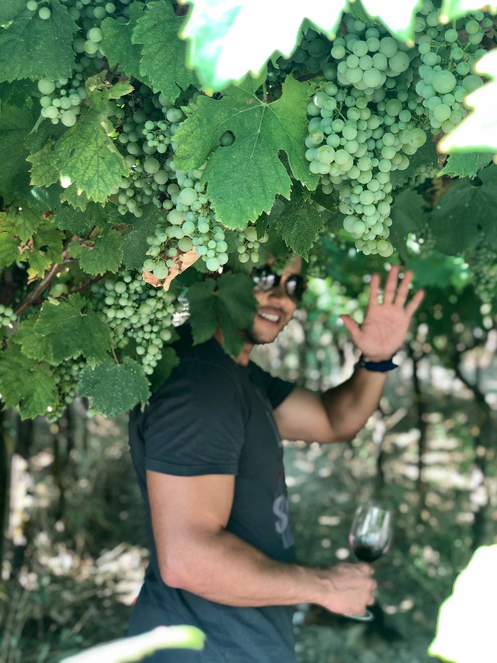 Degustação vinhos
