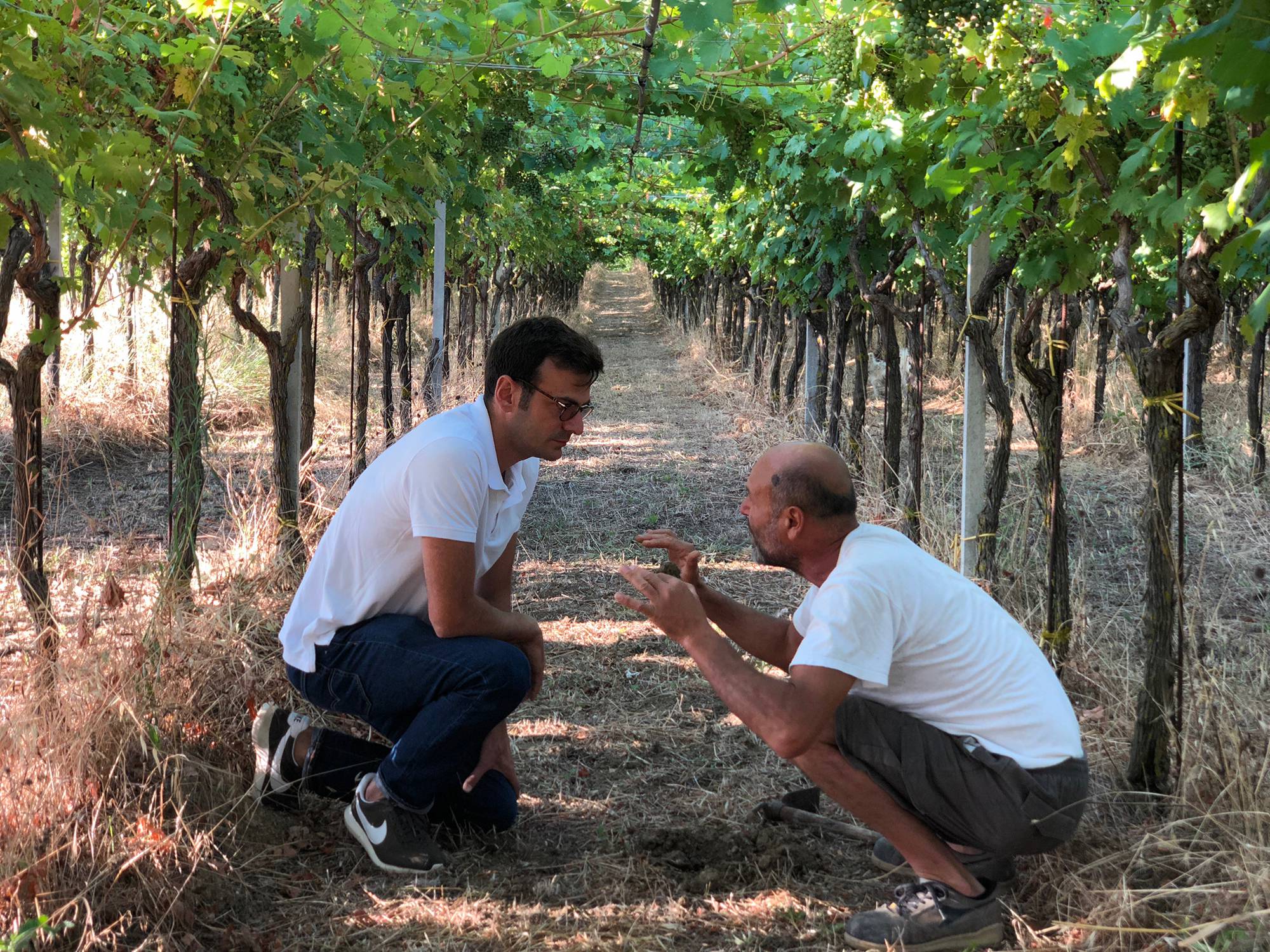 Degustação vinhos