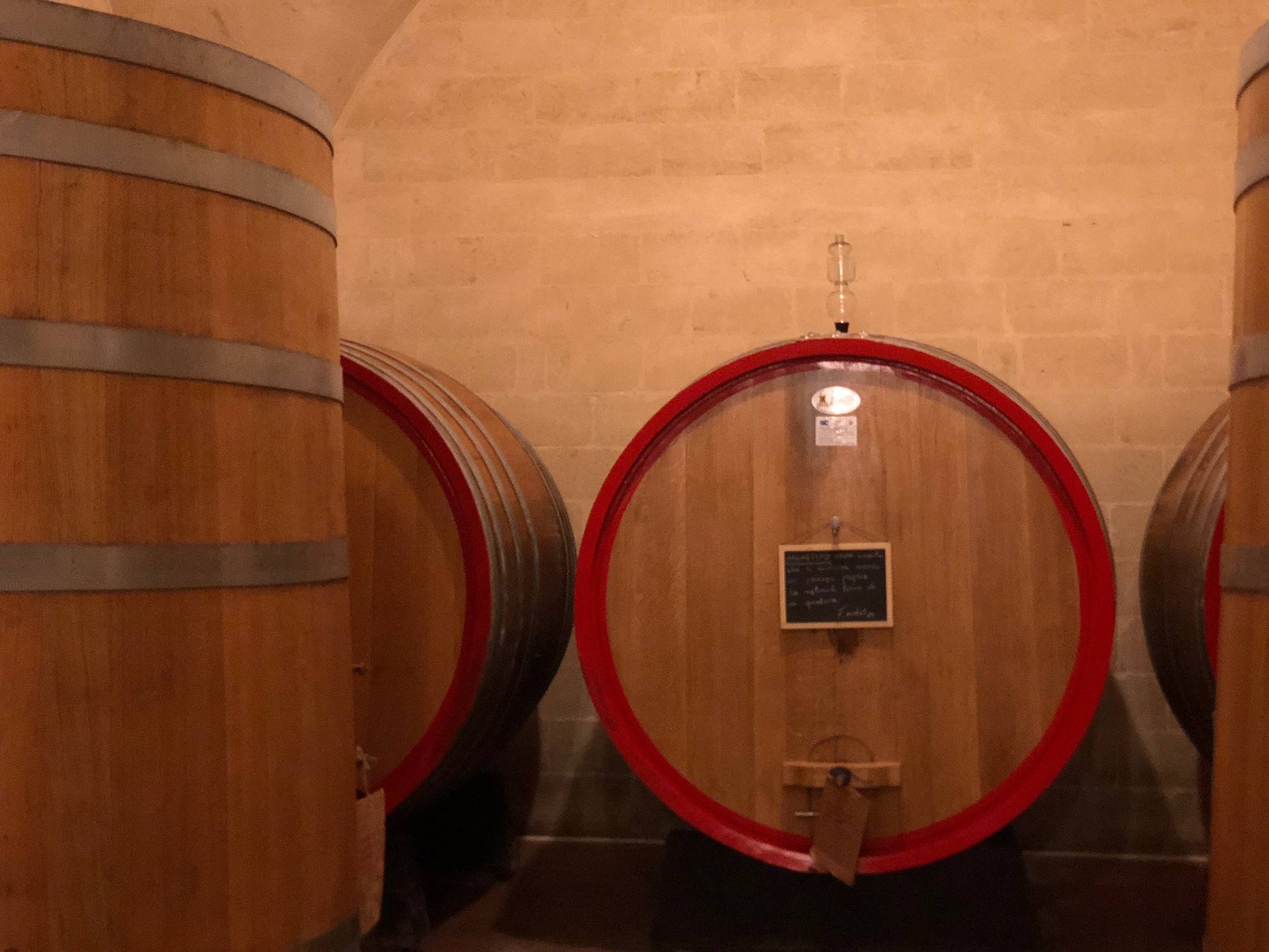 Degustação vinhos