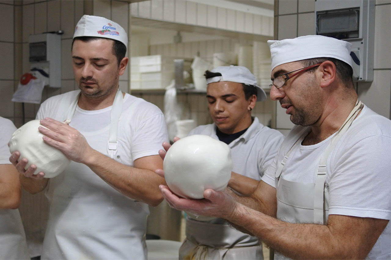 Degustação de queijos na Puglia